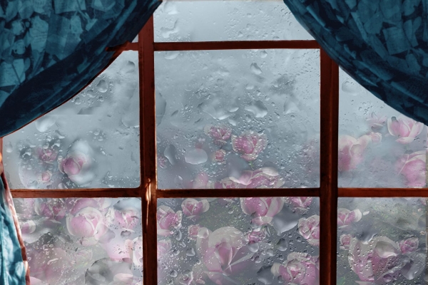 Creation of Of Teardrops & Raindrops : Step 8